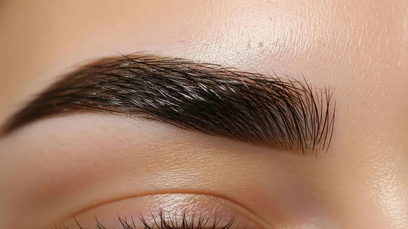 Beautiful laminated eyebrows highlighting perfect shape and shine, representing brow lamination aftercare